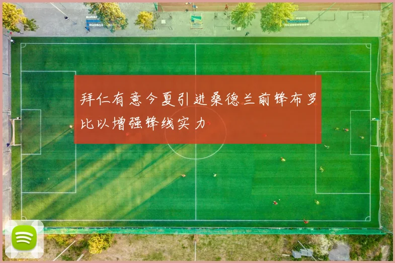 拜仁有意今夏引进桑德兰前锋布罗比以增强锋线实力
