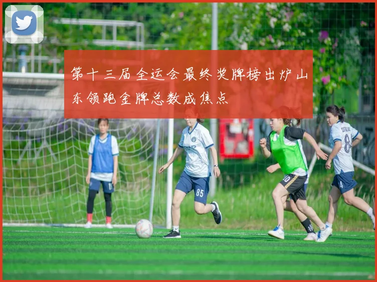 第十三届全运会最终奖牌榜出炉山东领跑金牌总数成焦点